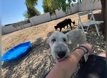 Ari - voller Lebensfreude