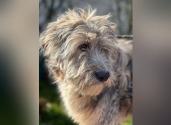 Ari - voller Lebensfreude