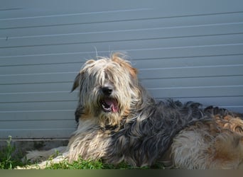 Ari - voller Lebensfreude