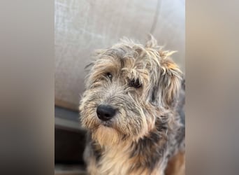 Ari - voller Lebensfreude