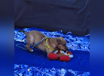 Linett ist liebm fröhlich und neugierig !