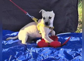 Paolo steckt voller Lebensfreude !