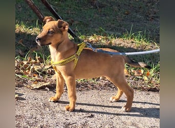 Linett ist liebm fröhlich und neugierig !