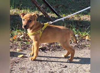 Linett ist liebm fröhlich und neugierig !