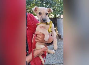 Paolo steckt voller Lebensfreude !