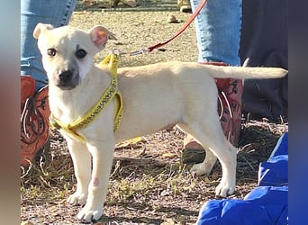 Paolo steckt voller Lebensfreude !
