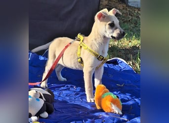Paolo steckt voller Lebensfreude !