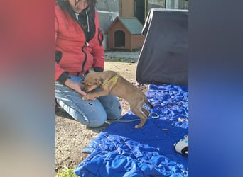 Linett ist liebm fröhlich und neugierig !