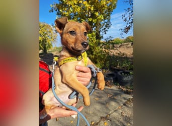 Linett ist liebm fröhlich und neugierig !