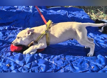 Paolo steckt voller Lebensfreude !