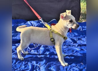 Paolo steckt voller Lebensfreude !