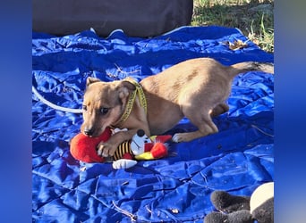 Linett ist liebm fröhlich und neugierig !