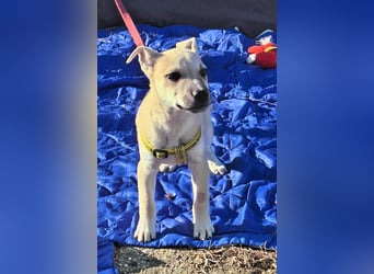 Paolo steckt voller Lebensfreude !