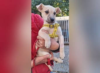 Paolo steckt voller Lebensfreude !