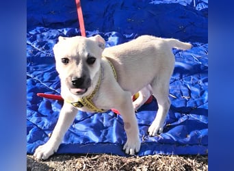 Paolo steckt voller Lebensfreude !