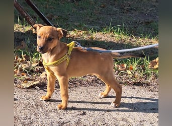 Linett ist liebm fröhlich und neugierig !