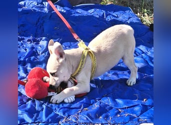 Paolo steckt voller Lebensfreude !