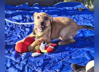 Linett ist liebm fröhlich und neugierig !