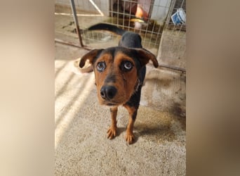 Cora ist bereit für ihr neues Leben