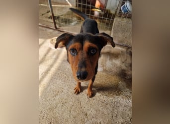 Cora ist bereit für ihr neues Leben