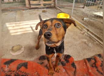 Cora ist bereit für ihr neues Leben