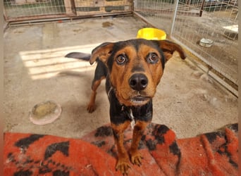 Cora ist bereit für ihr neues Leben