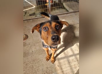 Cora ist bereit für ihr neues Leben