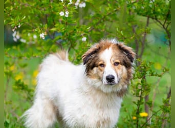 Kuschelbär Mischa sucht warmes Körbchen