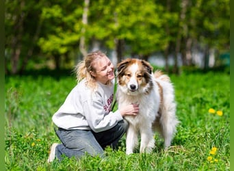 Kuschelbär Mischa sucht warmes Körbchen