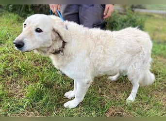 ZUZA  ist traurig, wer tröstet sie?