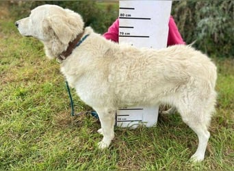 ZUZA  ist traurig, wer tröstet sie?