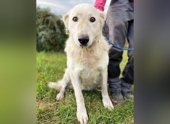 ZUZA  ist traurig, wer tröstet sie?