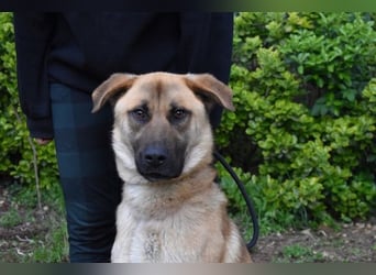 Anthaniel - Rohdiamant verschenkt sein Herz