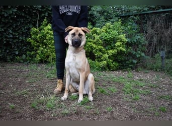 Anthaniel - Rohdiamant verschenkt sein Herz