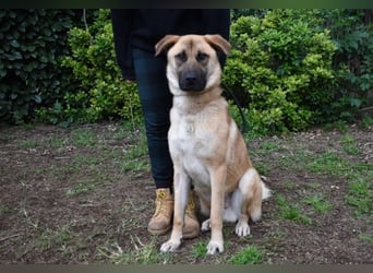 Anthaniel - Rohdiamant verschenkt sein Herz