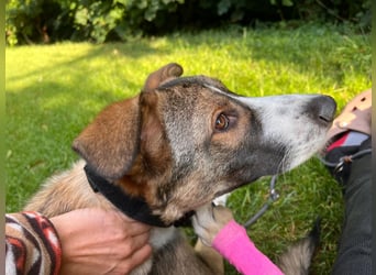 VALENTIN - Sonnenschein mit Handicap sucht seine Familie