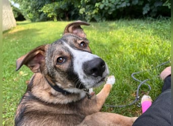 VALENTIN - Sonnenschein mit Handicap sucht seine Familie