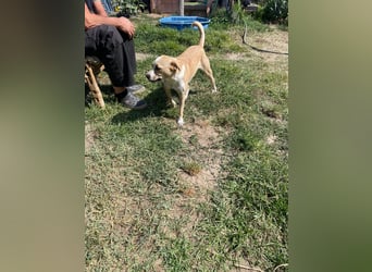 Ilonka möchte die Welt entdecken.