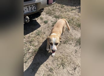 Ilonka möchte die Welt entdecken.