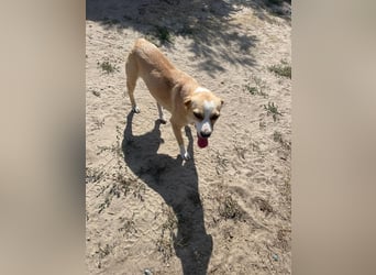 Ilonka möchte die Welt entdecken.