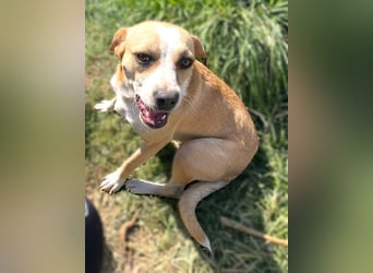 Ilonka möchte die Welt entdecken.