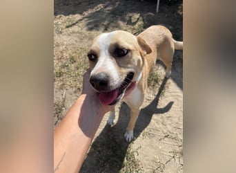 Ilonka möchte die Welt entdecken.