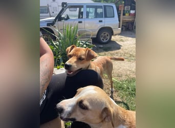 Ilonka möchte die Welt entdecken.