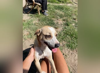 Ilonka möchte die Welt entdecken.