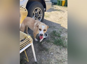 Ilonka möchte die Welt entdecken.