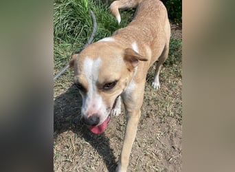 Ilonka möchte die Welt entdecken.