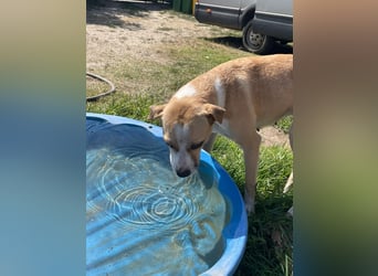 Ilonka möchte die Welt entdecken.