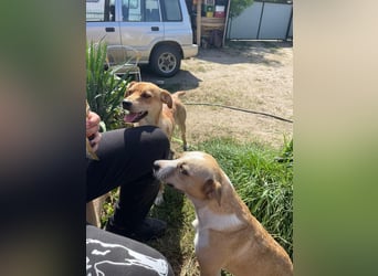 Ilonka möchte die Welt entdecken.