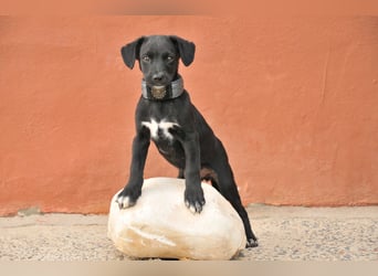 Darf Itzal mit dir die Welt entdecken?