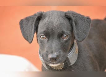 Darf Itzal mit dir die Welt entdecken?